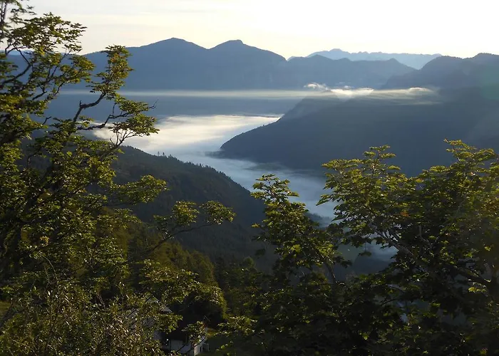 Egger Barbara Daire *