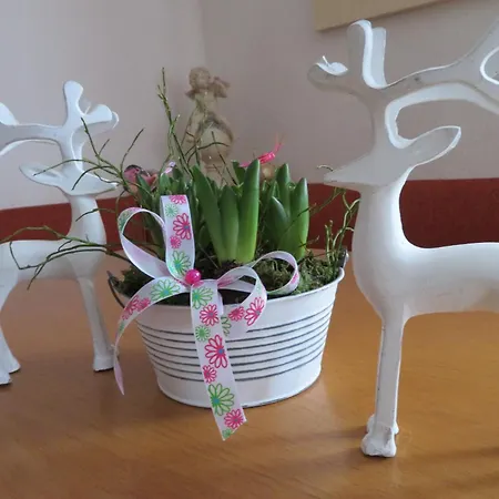 Apartment Egger Barbara *